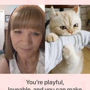 Meet your Posher, Wanda